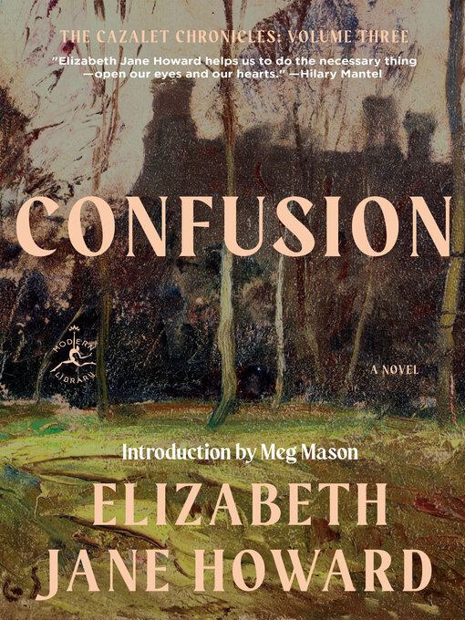 Cover image for Confusion